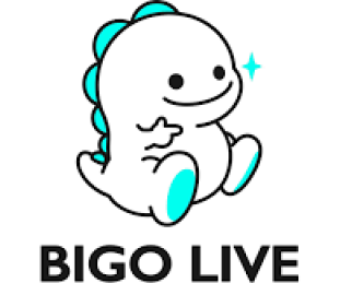 BIGO VERIFICATION CODE